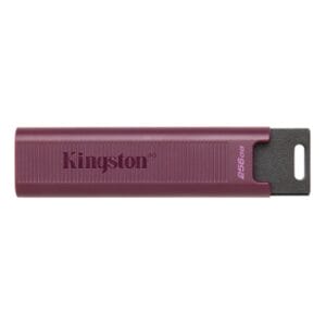 Kingston 256GB DataTraveler Max USB 3.2 flash DTMAXA/256GB - Slika 2