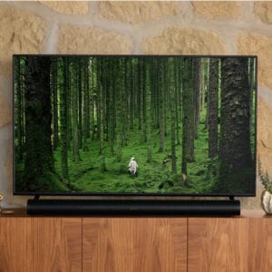 SONOS ARC Dolby Atmos soundbar crni - Slika 1