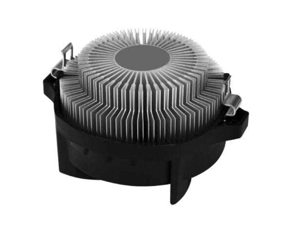 03072025686645541a619