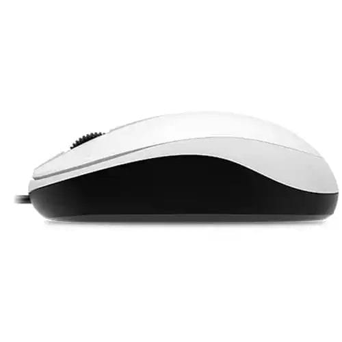 03072025686655b7045ae