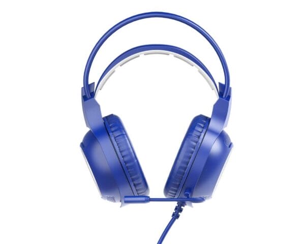 03072025686658c2976e9