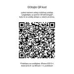 03072025686661c379365