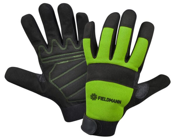 03072025686664ca4fd98