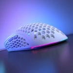 0307202568667edf55dab