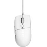 03072025686680581889c