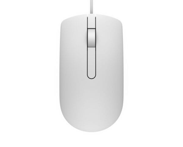 03072025686685f20ae5e