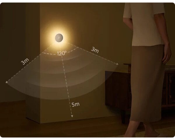 03072025686690e818ae8