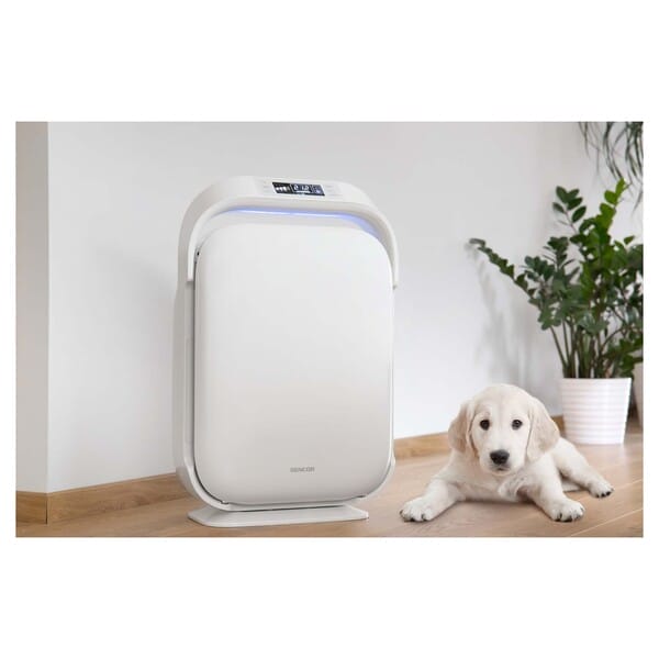 030720256866c51eae3f2