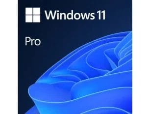 Microsoft Windows 11 Professional 64Bit Eng Intl 1pk DSP OEI DVD (22H2) - Slika 1