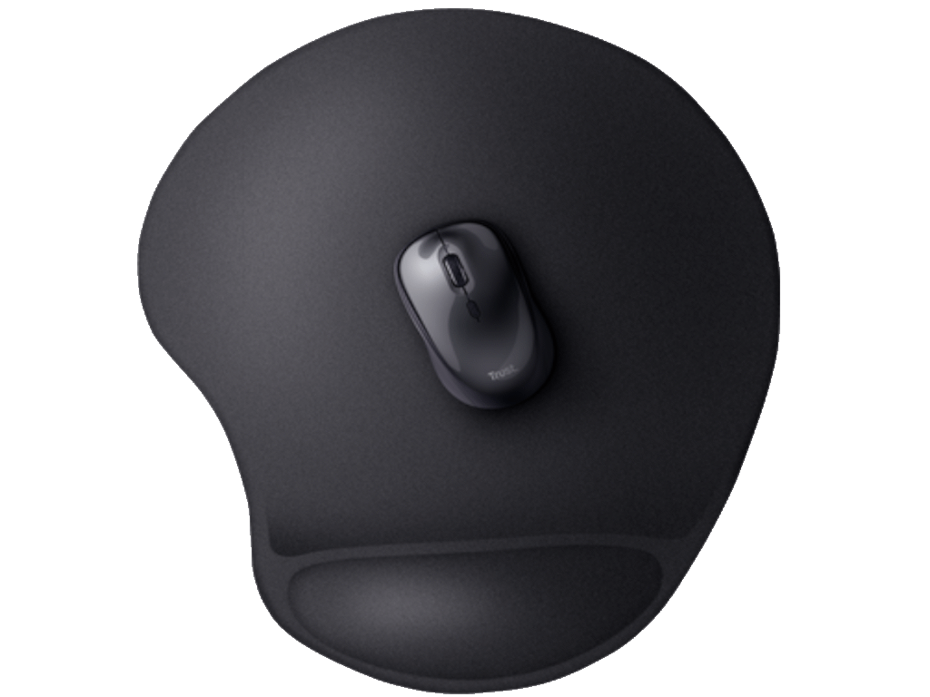 0610202568e3b8dc009f4