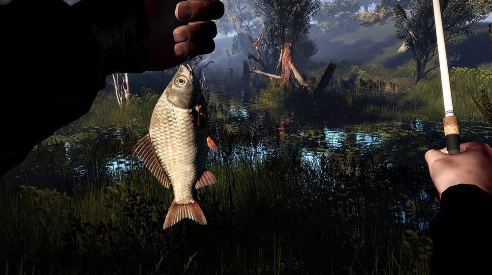 0610202568e3fec389bdd