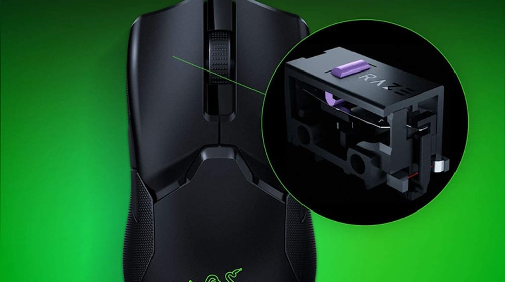 0610202568e404286fc6b