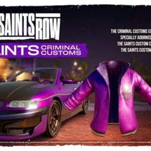 Deep Silver PS4 Saints Row - Criminal Customs Edition - Slika 2