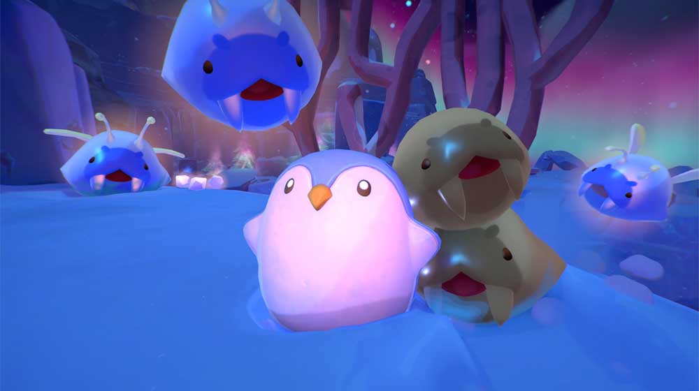 0610202568e429f329126