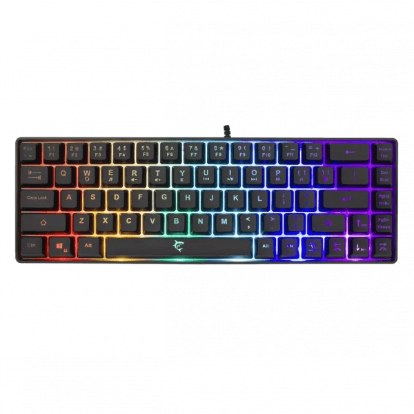 2602202669a06bcfad798