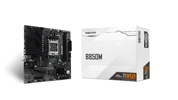 2602202669a06ffa6605b