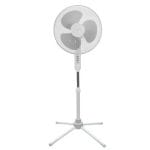 2602202669a075b4a8859