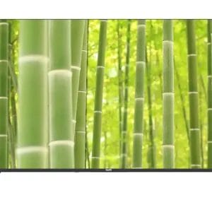 Zeus SMART LED TV Zeus 55 ZE55UST2 3840x2160/4K/Wi-Fi/Bluetooth/D... - Slika 3